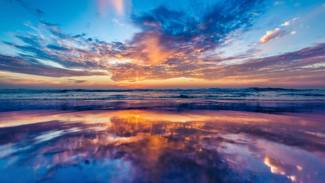 开元官网渥太华室内健身器材